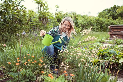 Small-Seezon - Watering your garden 2