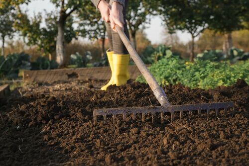 raking soil