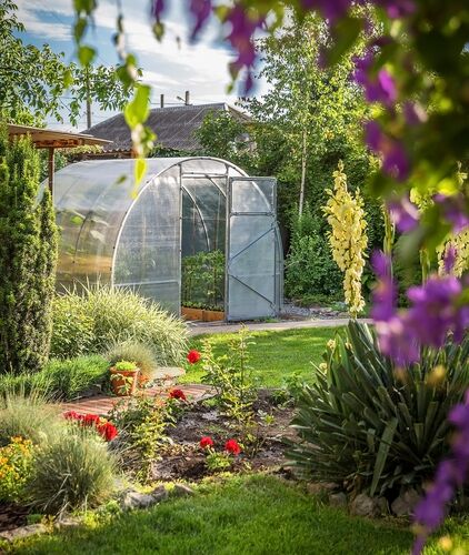 greenhouse in garden