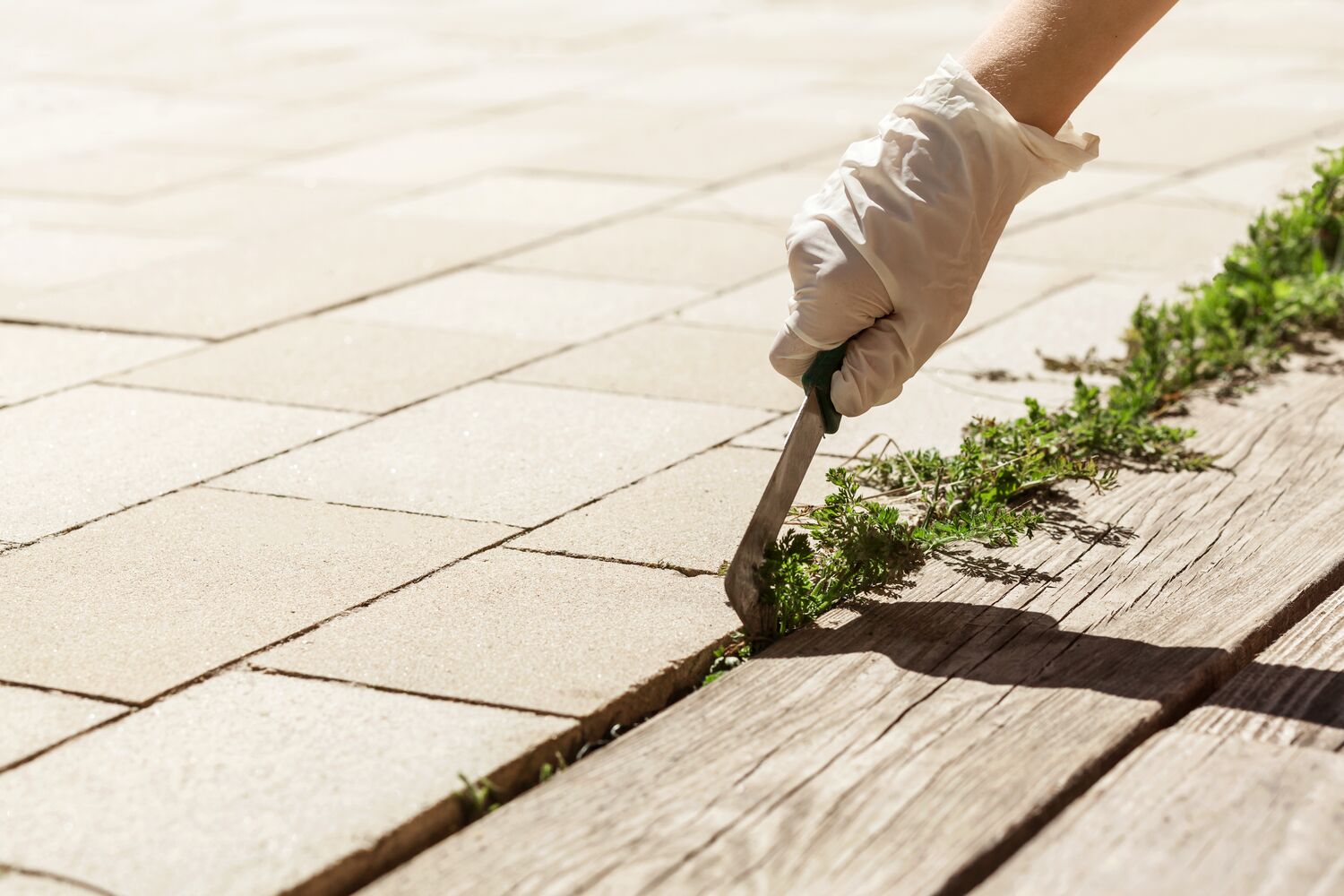 Large-Seezon - weed killer